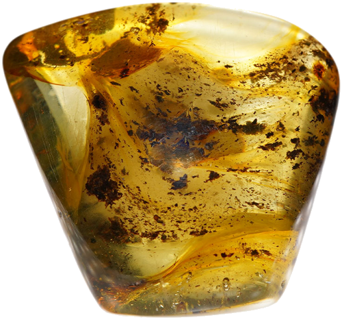 31,60 g Amber nugget (1)