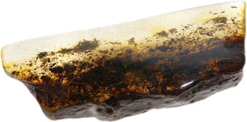 31,60 g Amber nugget (2)