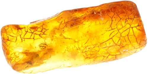 13,80 g Amber Nugget with inclusion (4)