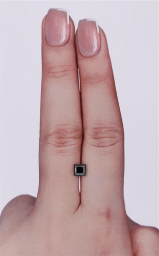 0.54 carat Fancy Black-VVS2 Natūralus Princess Deimantas (1)