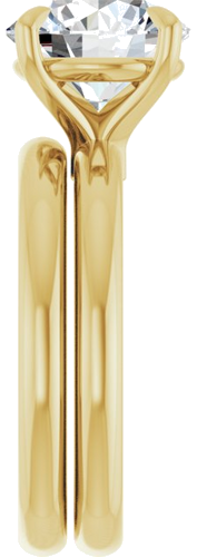 Sužadėtuvių Žiedas „Claw-Prong Euro Shank“ 14k yellow gold Round 9.4mm (9)
