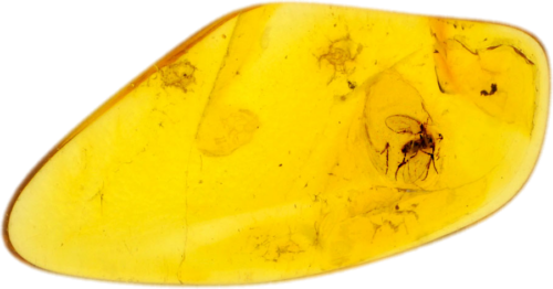 0,95 g Amber Nugget with inclusion (1)