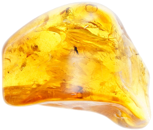 3,05 g Amber Nugget with inclusion (1)