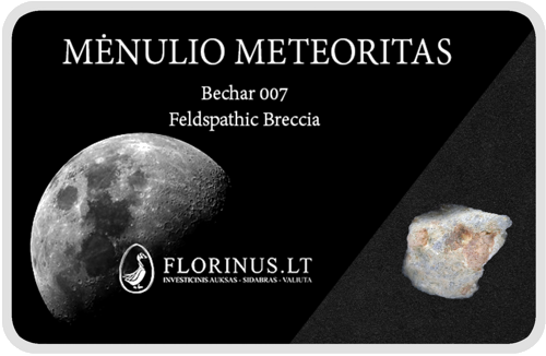 Lunar Meteorite (1)