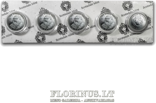 2015 Sidabranugarė Gorila, Kongas, 1 oz sidabrinė moneta (5)
