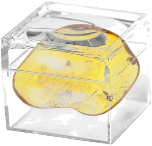 2,30 g Amber Nugget with inclusions (2)