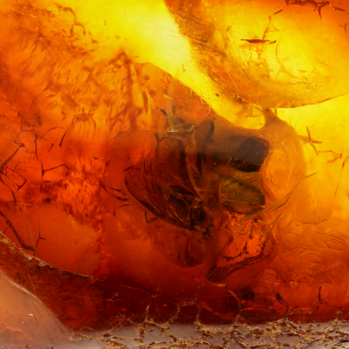 13,40 g Gintaro grynuolis su inkliuzais (2)