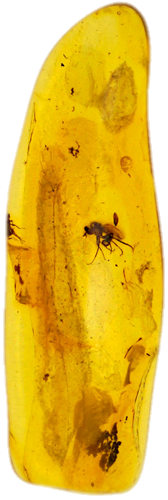 0,90 гр Самороден кефлибар с фосил (1)