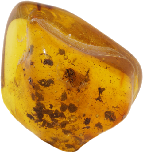 3,60 g Gintaro grynuolis su inkliuzu (1)