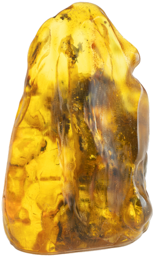 Янтарь с инклюзом 6,70 г (2)