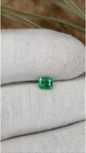 0.49 carat GREEN Emerald Smaragdas (1)