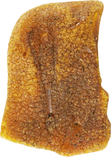 6,90 g Jūrinio Gintaro grynuolis (1)