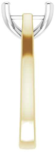 Sužadėtuvių Žiedas 14k yellow/white gold Round 11mm (4)