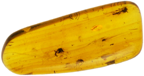 0,95 g Amber Nugget with inclusion (1)