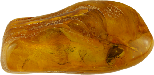 12,60 g Gintaro grynuolis su drugio inkliuzu (1)