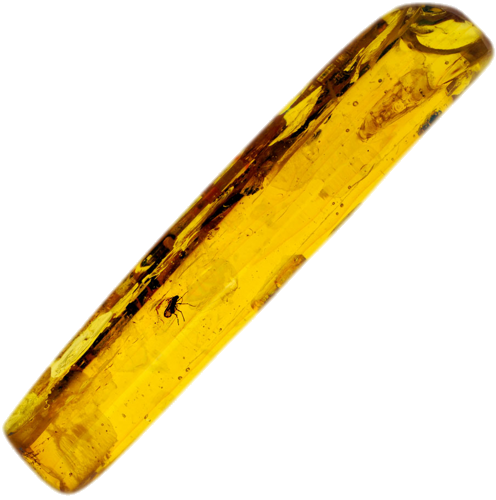 6,65 g Amber Nugget with inclusion (1)