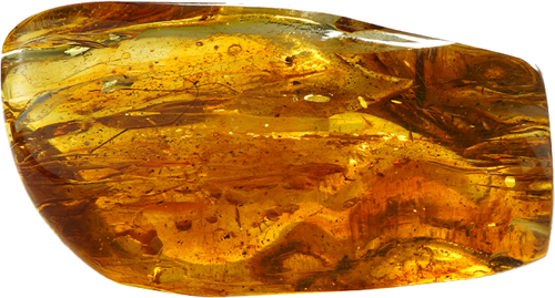 41,75 g Amber nugget with inclusion (1)