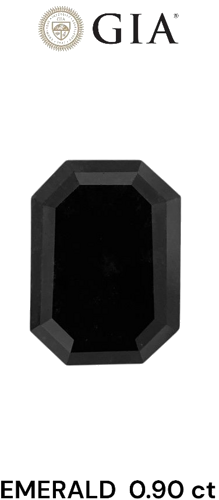 0.9 carat Fancy Black-VVS2 Natūralus Emerald Deimantas (1)