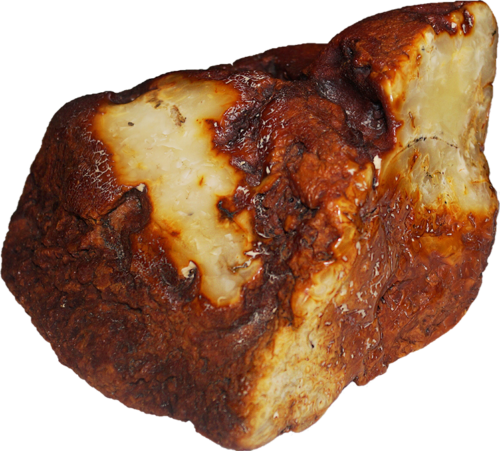 724 g Gintaro grynuolis (1)