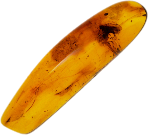 1,30 g Amber Nugget with inclusion (1)