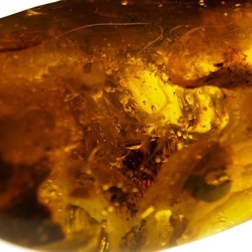 73,35 гр. Самороден кехлибар (3)