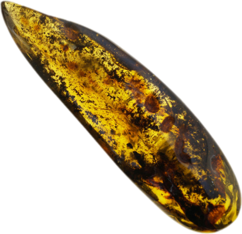 50 g Amber Nugget with inclusion (4)