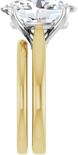 Sužadėtuvių Žiedas 14k yellow/white gold Oval 14mm x 10mm (9)