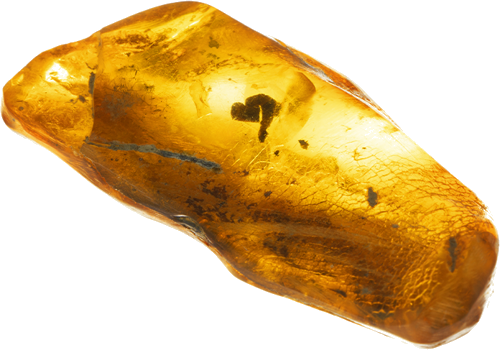 3,90 g Amber nugget with inclusion (1)