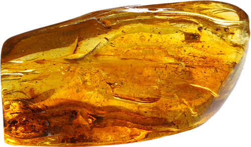 41,75 g Amber nugget with inclusion (3)