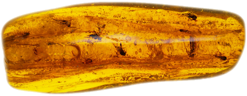 3,45 g Amber Nugget with 10 inclusions (1)