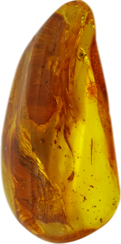 15,10 g Amber Nugget with inclusion (1)