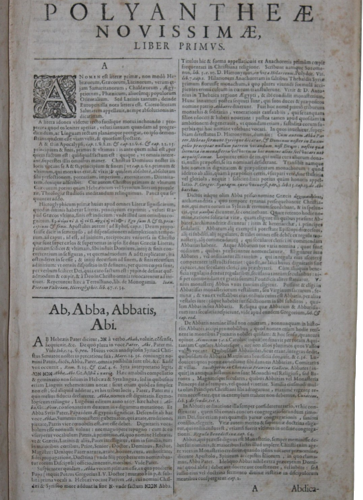 Antikvarinė knyga „Florilegii Magni Seu Polyantheae... Libri XX“, 36,5 x 22 cm, 1621 m., Vokietija (5)