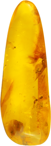 7,95 g Amber Nugget with inclusion (3)