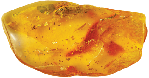 Янтарь с инклюзом 8,25 г (3)