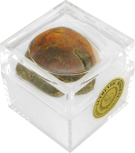 6,70 g Gintaro grynuolis su inkliuzu (5)
