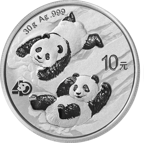 2022 Panda China 10 yuan 30 g silver coin (1)