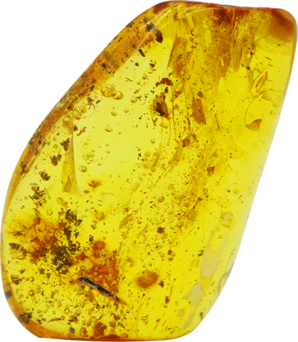 16,35 g Amber Nugget with inclusion (1)