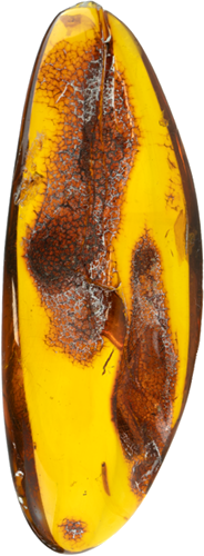 17,75 g Amber nugget (2)