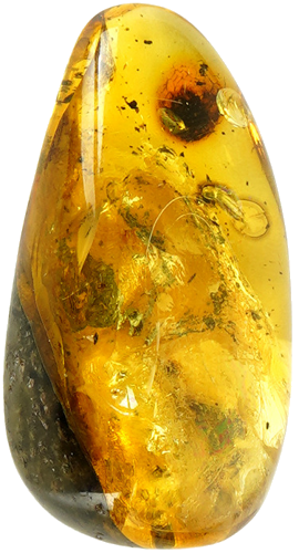 22,15 g Amber Nugget with fly inclusion (3)