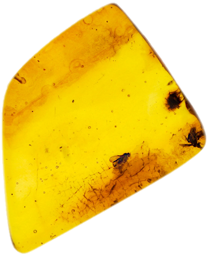 Самородок янтаря с инклюзом 2,70 г (1)