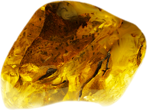 122 g Amber Nugget (5)