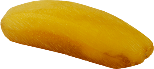 4,10 g Amber nugget (3)