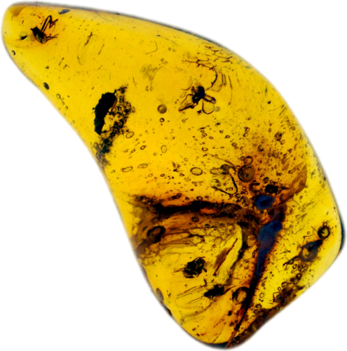 1,40 g Amber Nugget with inclusions (1)