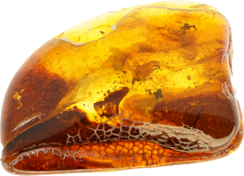 18,85 g Amber Nugget with inclusion (3)