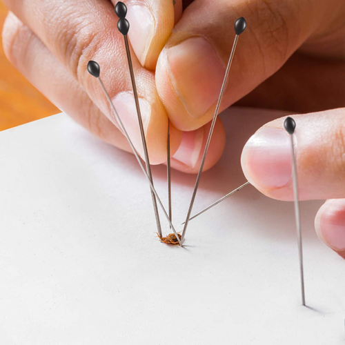 Foundation for insect preparation (2)