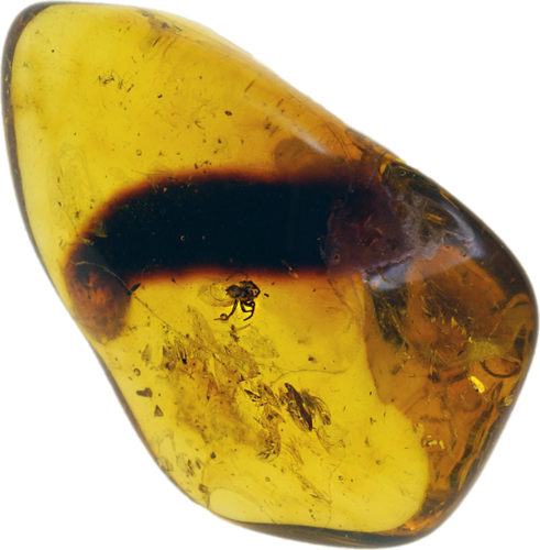 3,50 g Amber Nugget with inclusion (1)