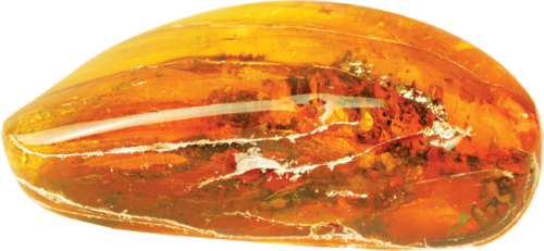 15,40 g Amber Nugget with inclusion (3)