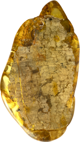 22,15 g Amber Nugget with fly inclusion (2)