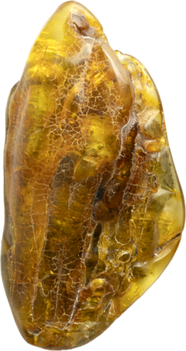 22,15 g Amber Nugget with fly inclusion (1)