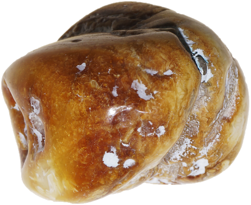 Янтарный самородок 7,30 г (2)